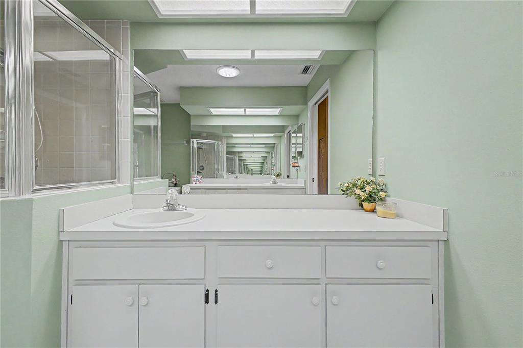 2662 Appleleaf Court Spring Hill, FL 34606 - Photo 19 of 47 a bathroom with a sink and a mirror
