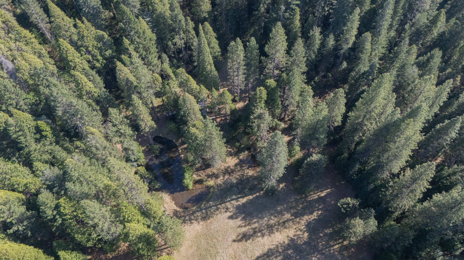14138 La Porte Road Strawberry Valley, CA 95981 - Photo 61 of 61 Gallery Image 61