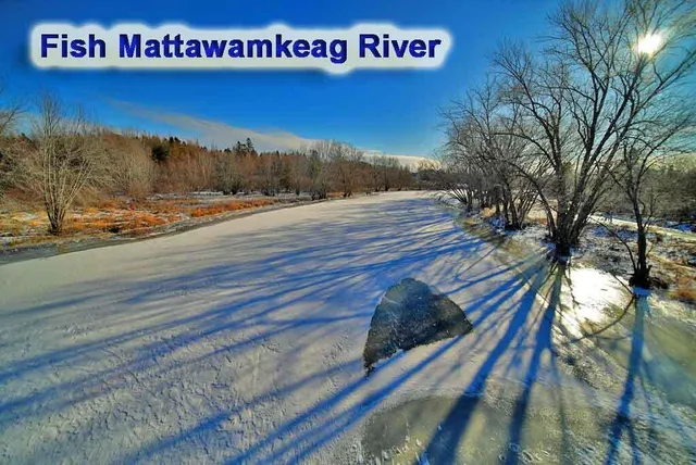 $29,500 | Lot 13 Denmark Road, Wytopitlock, ME 04497