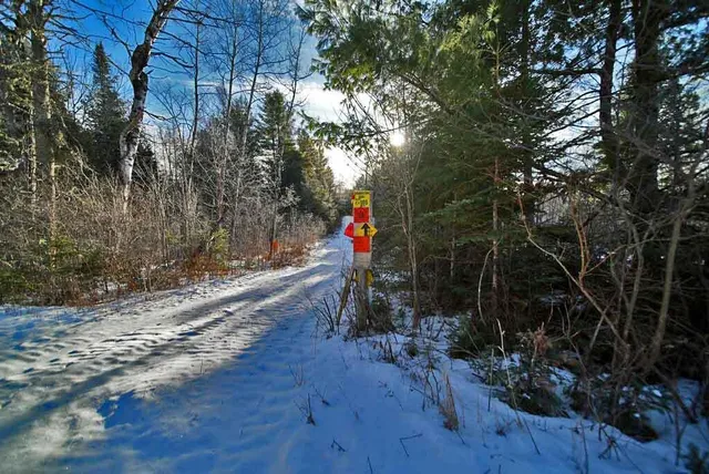 $29,500 | Lot 13 Denmark Road, Wytopitlock, ME 04497