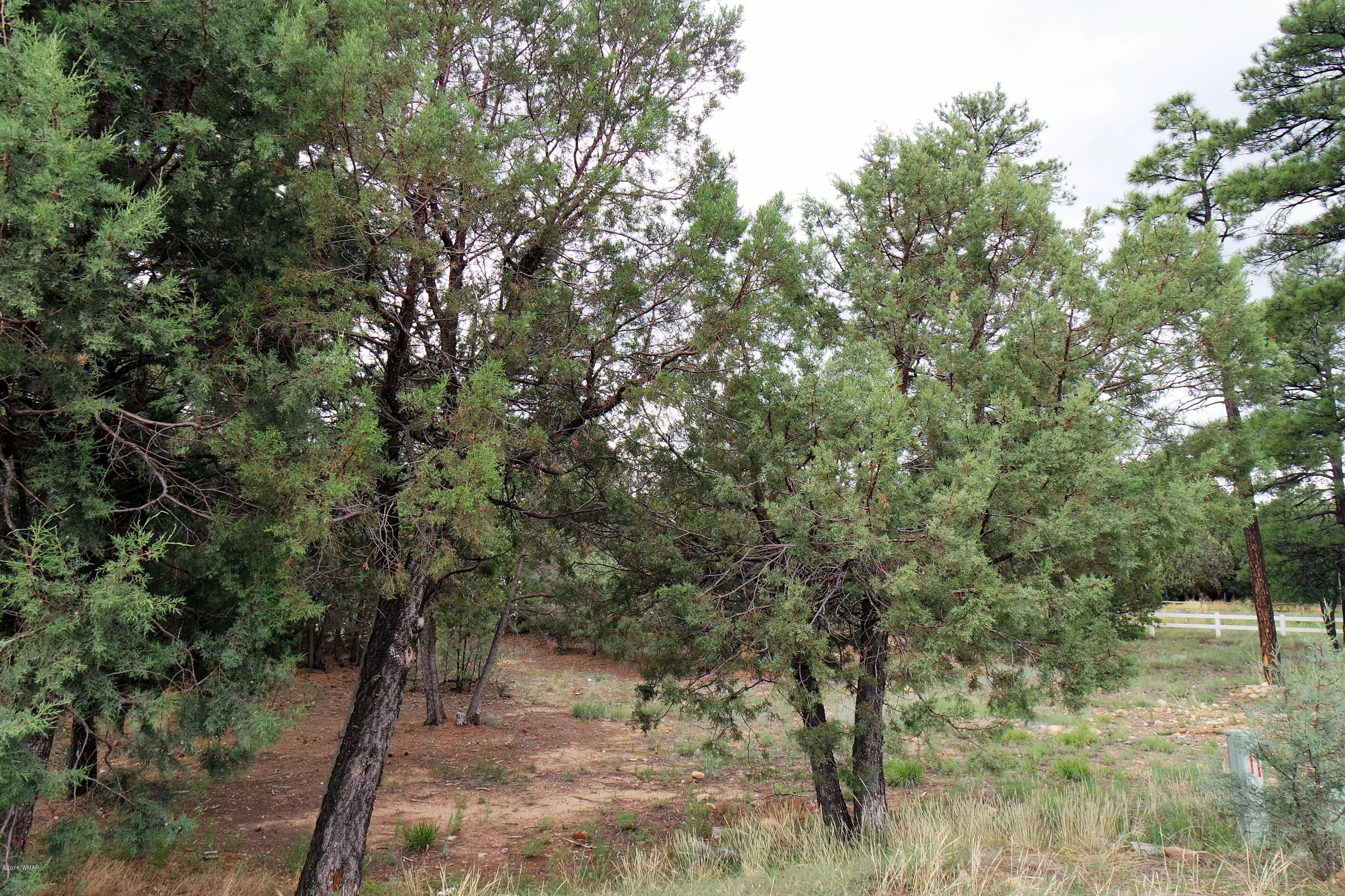 1561 West Huning Show Low, AZ 85901 - Photo 2 of 3