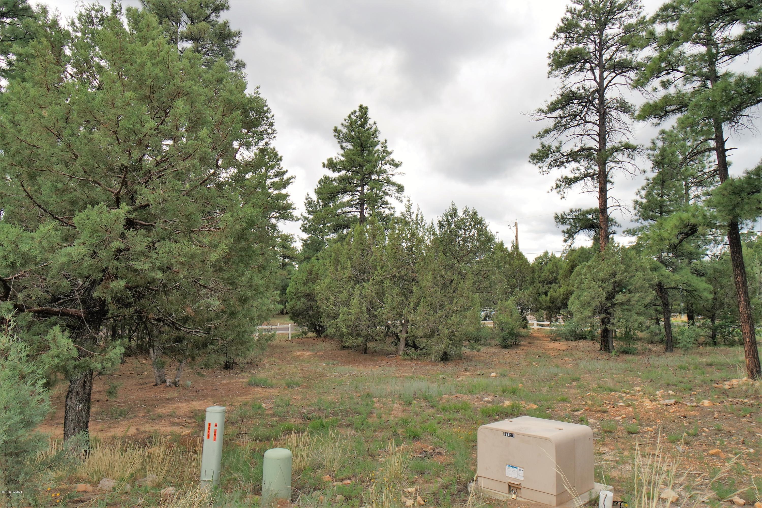 1561 West Huning Show Low, AZ 85901 - Photo 3 of 3