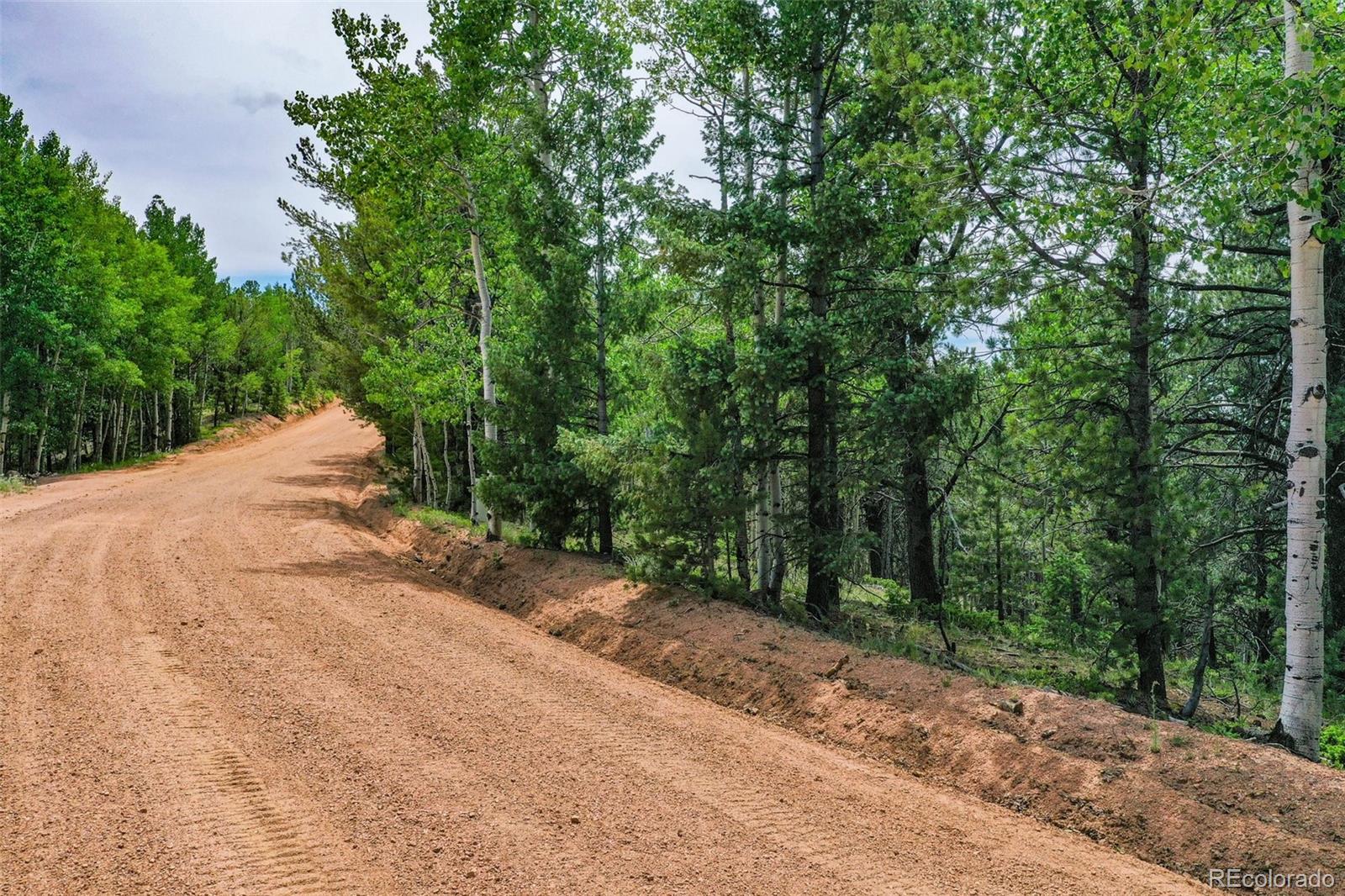 677 Timber Ridge Road Divide, CO 80814 - Photo 1 of 29 Gallery Image 1