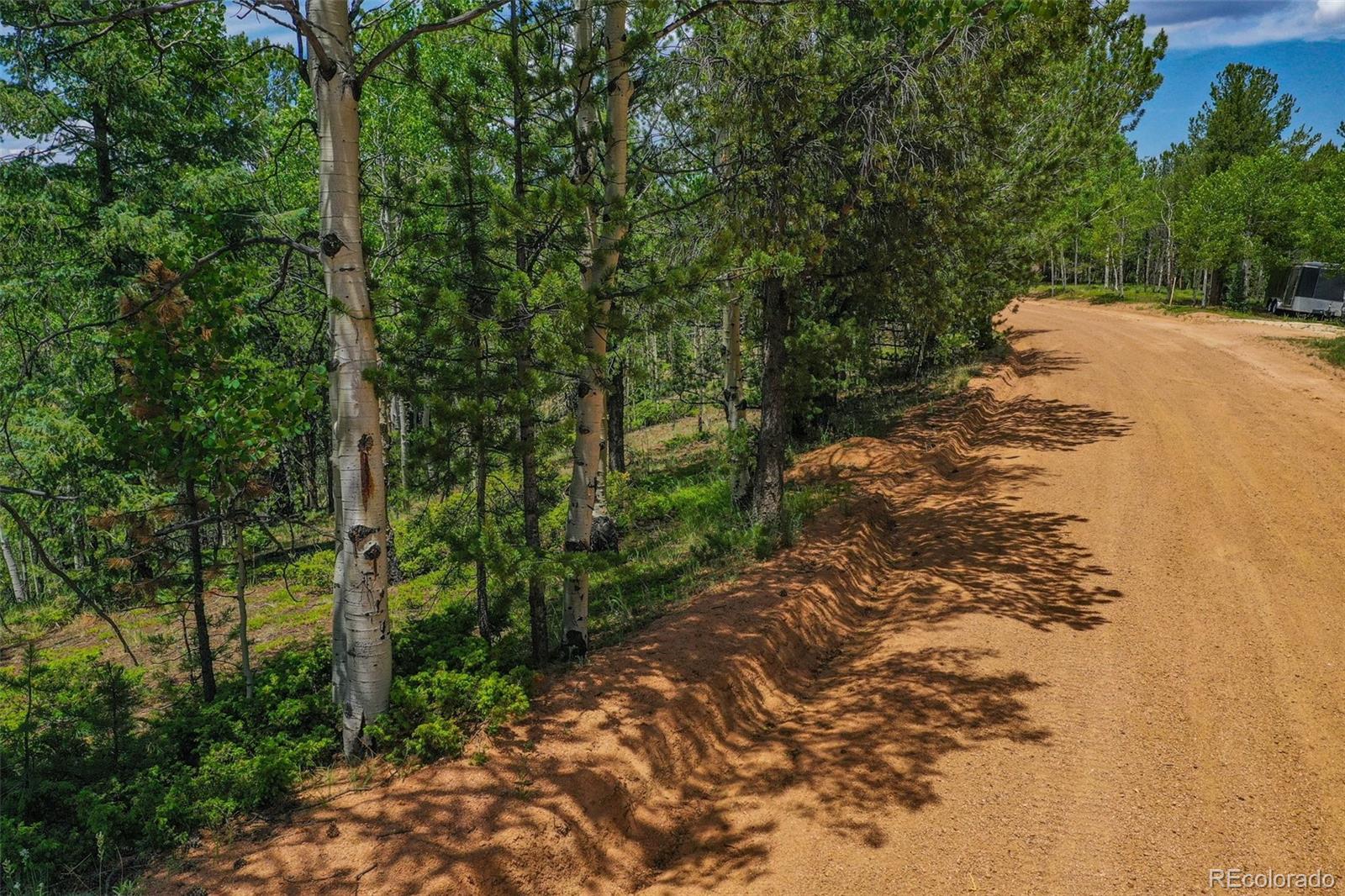 677 Timber Ridge Road Divide, CO 80814 - Photo 11 of 29 Gallery Image 11