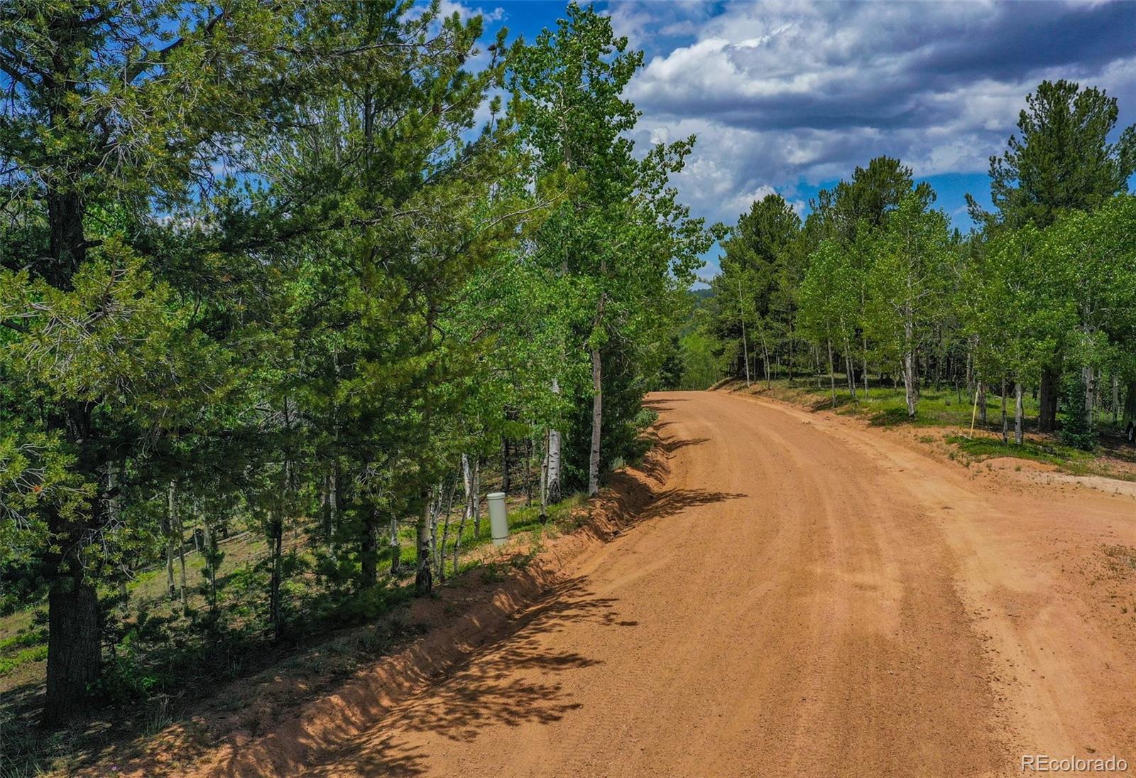 677 Timber Ridge Road Divide, CO 80814 - Photo 12 of 29 Gallery Image 12