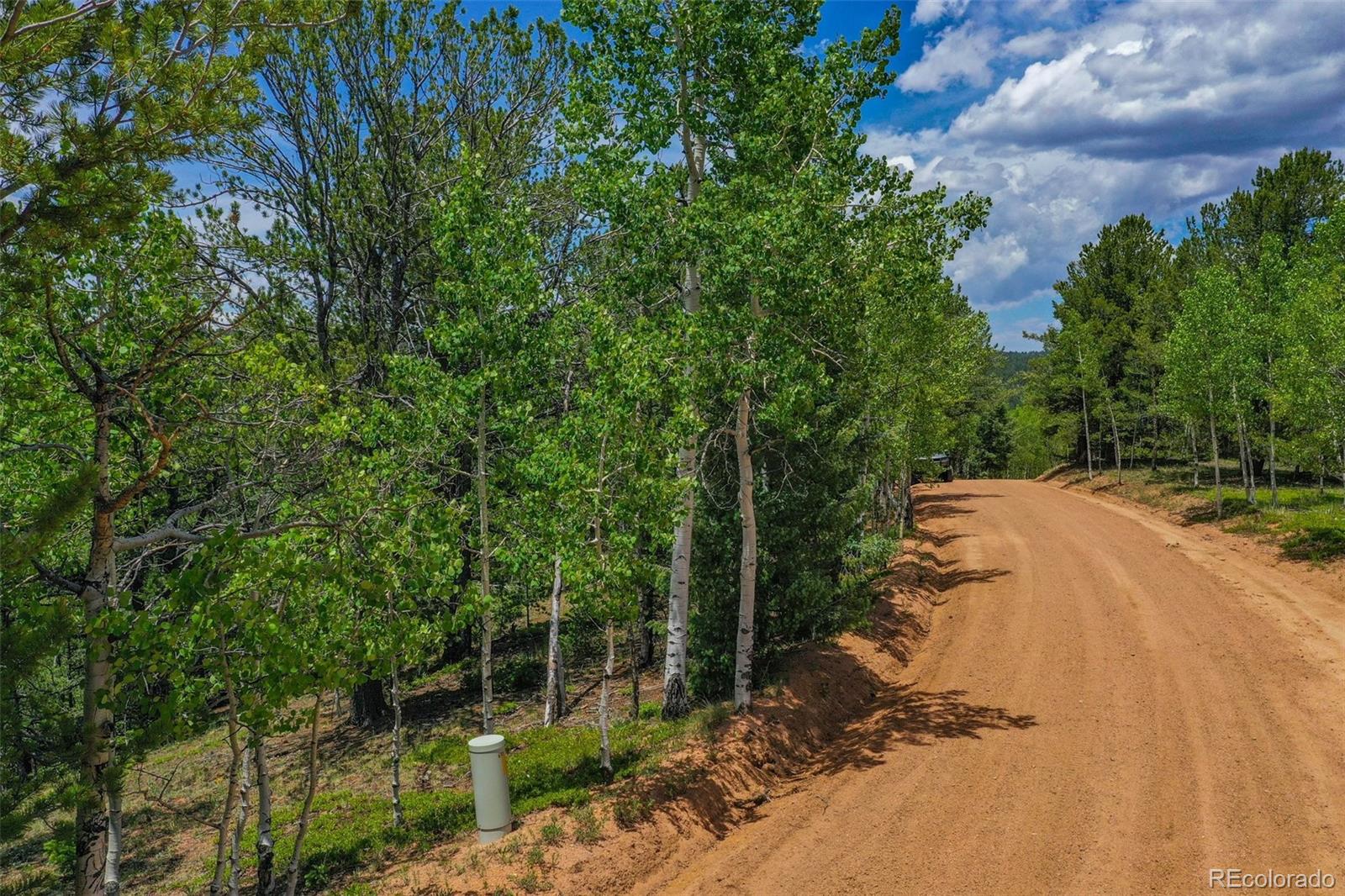 677 Timber Ridge Road Divide, CO 80814 - Photo 13 of 29 Gallery Image 13