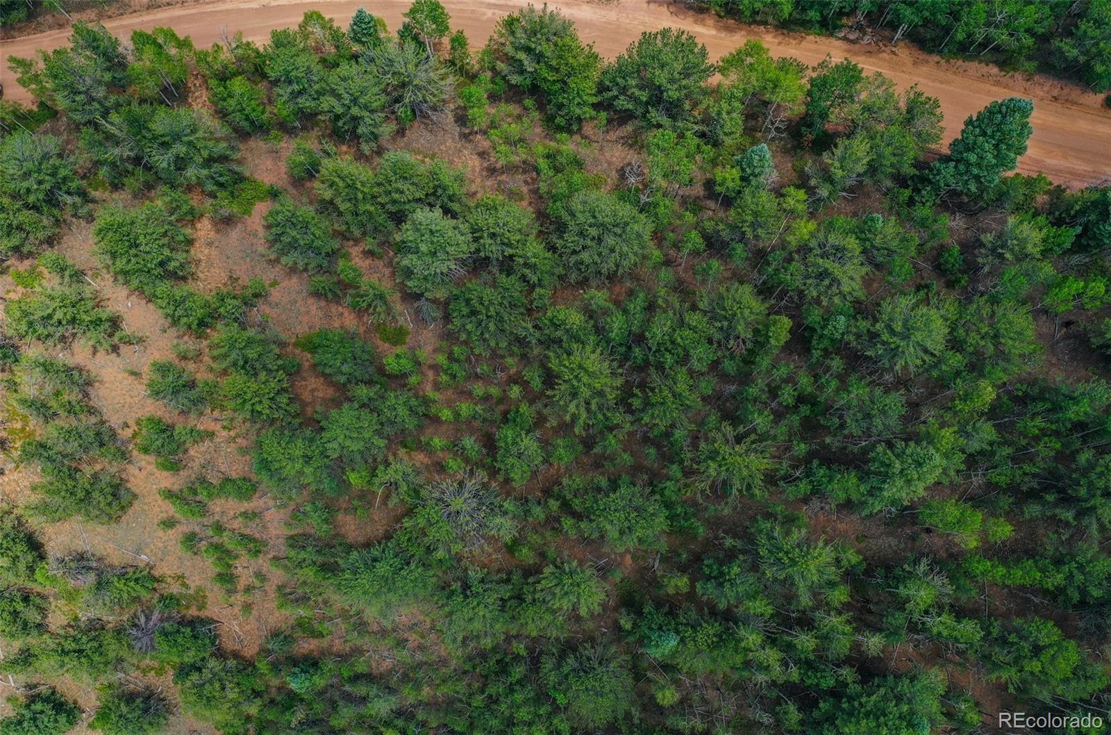 677 Timber Ridge Road Divide, CO 80814 - Photo 17 of 29 Gallery Image 17