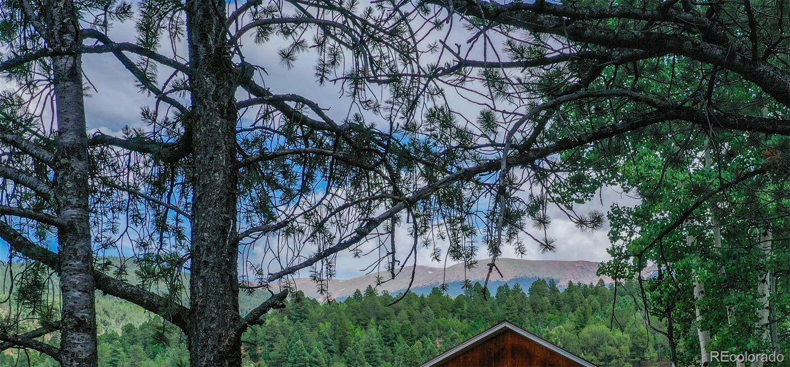677 Timber Ridge Road Divide, CO 80814 - Photo 18 of 29 Gallery Image 18