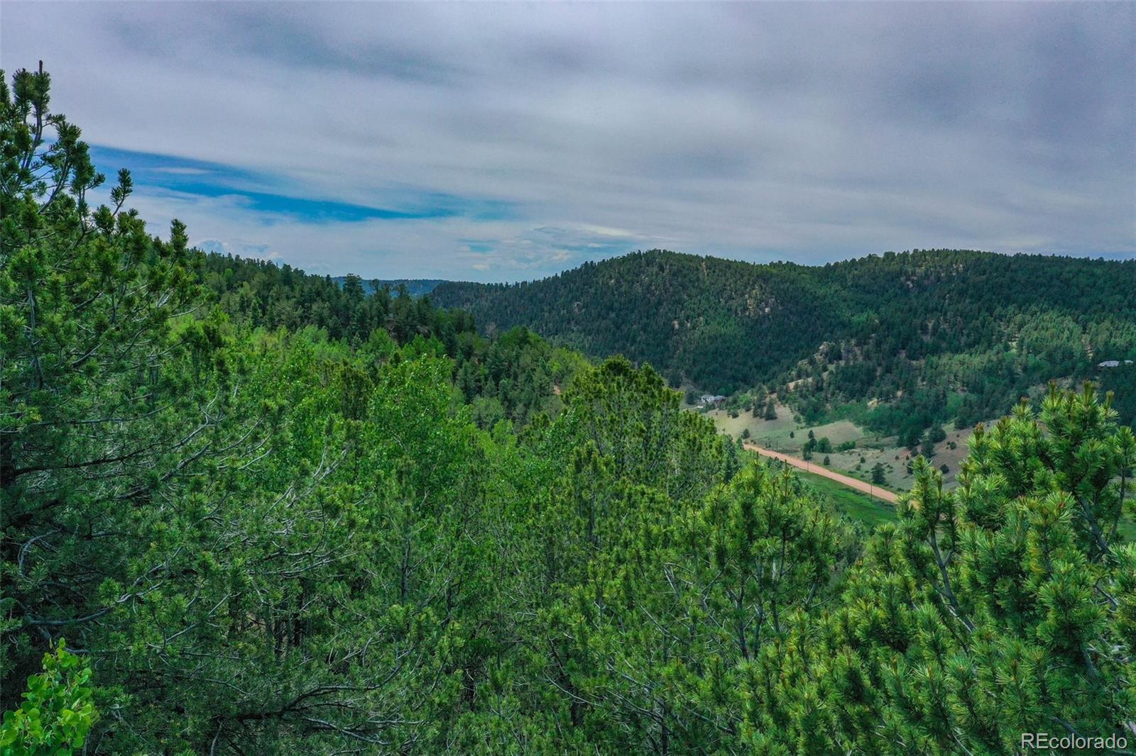 677 Timber Ridge Road Divide, CO 80814 - Photo 20 of 29 Gallery Image 20