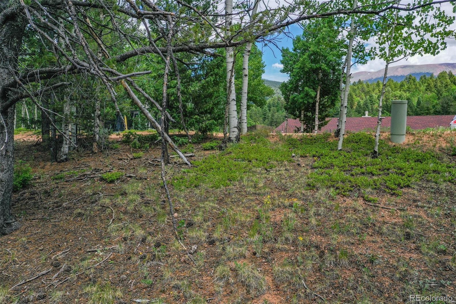 677 Timber Ridge Road Divide, CO 80814 - Photo 21 of 29 Gallery Image 21