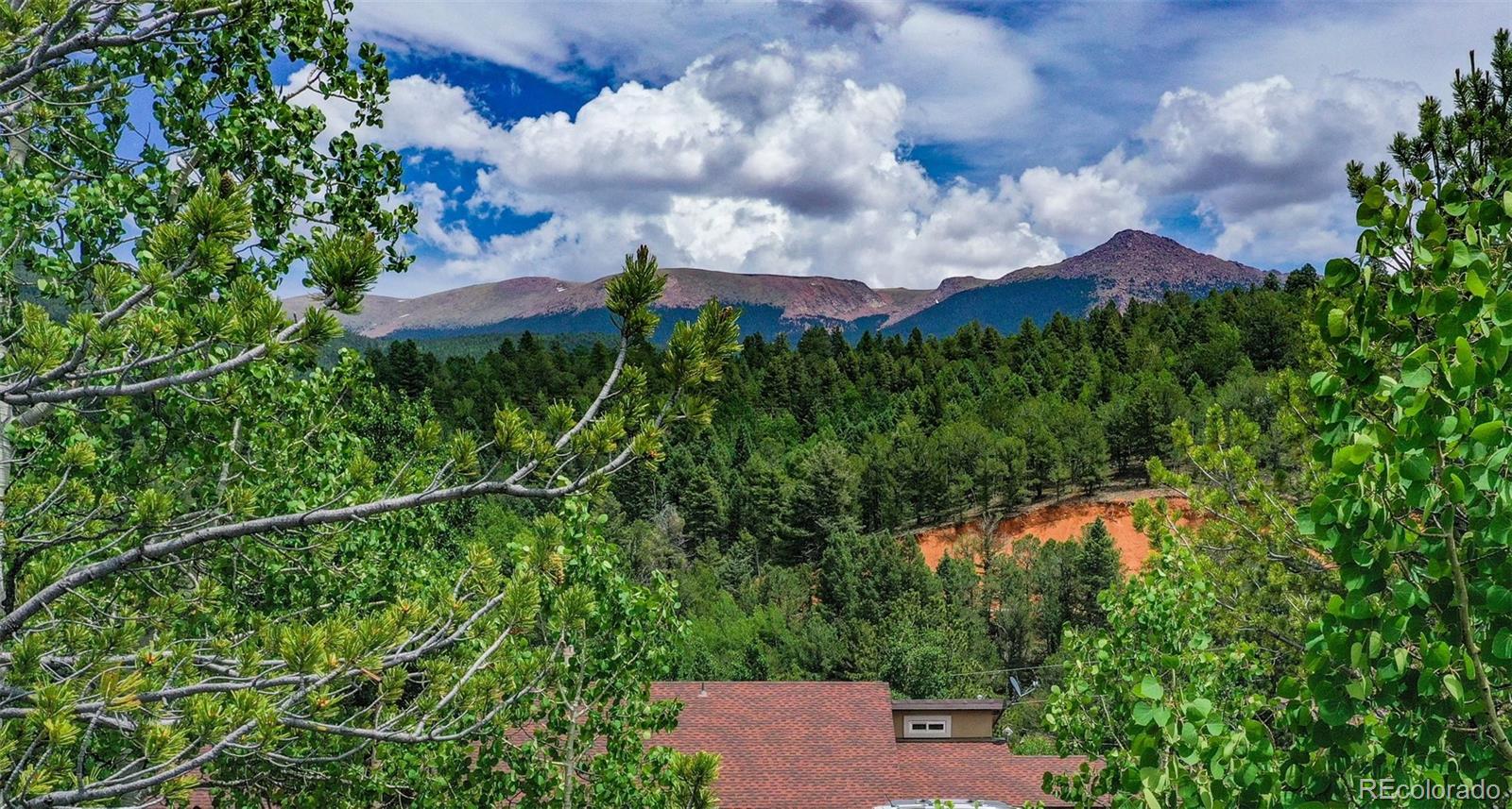 677 Timber Ridge Road Divide, CO 80814 - Photo 22 of 29 Gallery Image 22