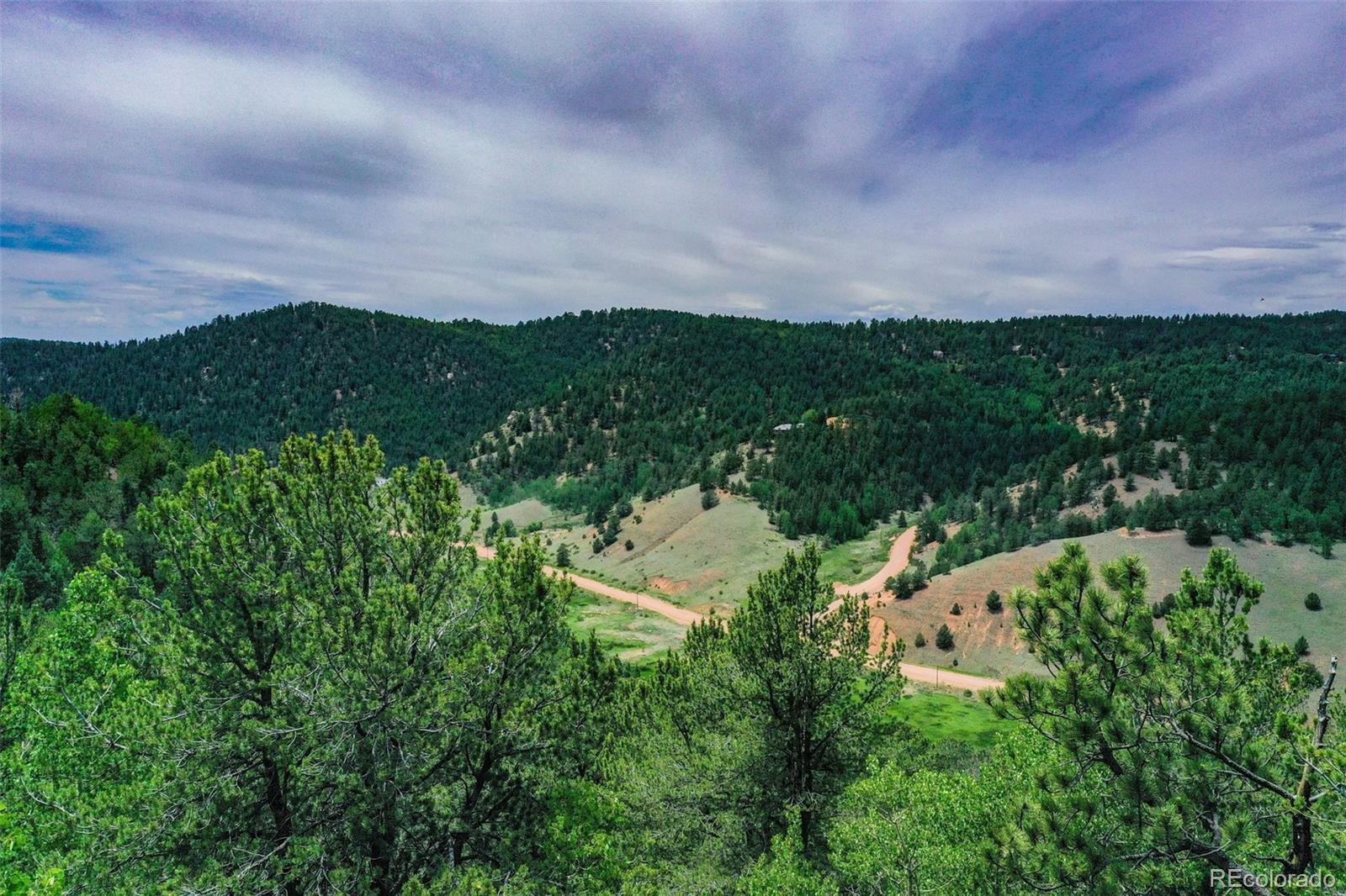677 Timber Ridge Road Divide, CO 80814 - Photo 23 of 29 Gallery Image 23