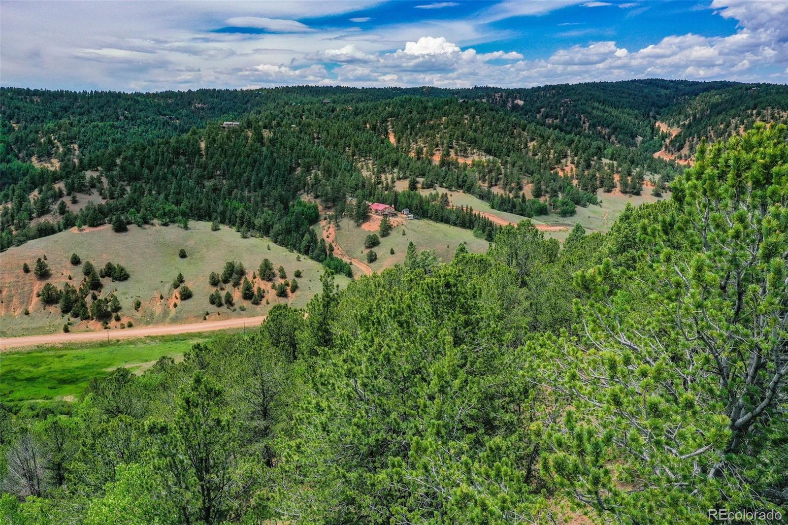 677 Timber Ridge Road Divide, CO 80814 - Photo 25 of 29 Gallery Image 25