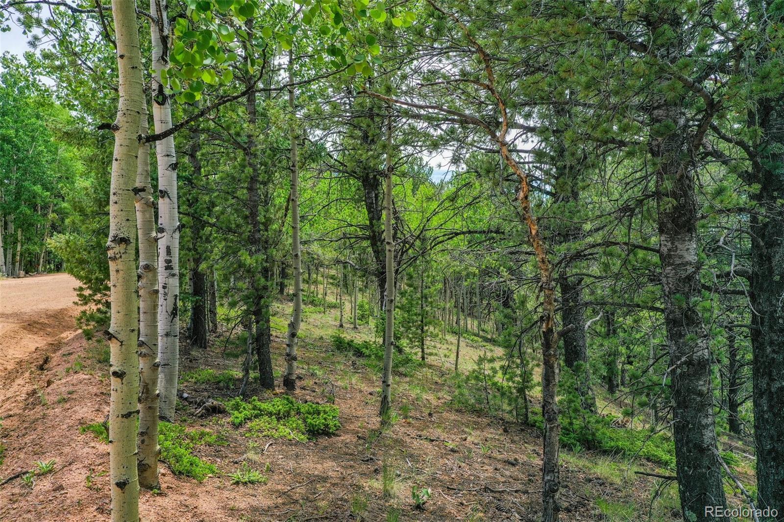 677 Timber Ridge Road Divide, CO 80814 - Photo 27 of 29 Gallery Image 27