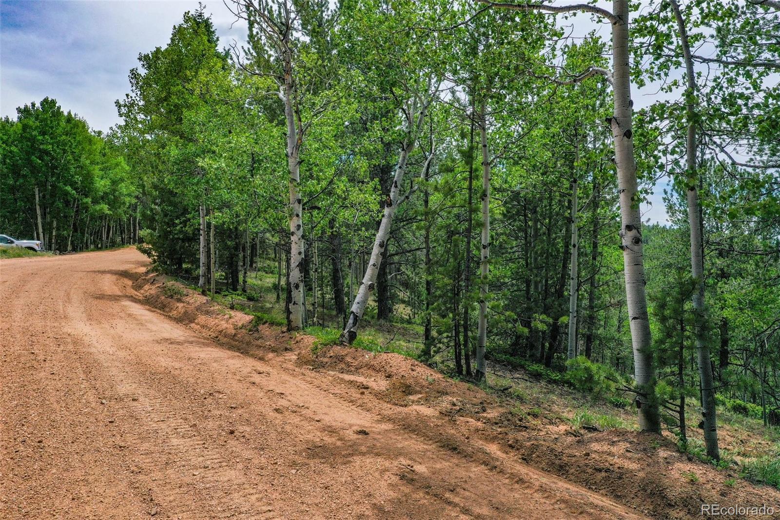 677 Timber Ridge Road Divide, CO 80814 - Photo 28 of 29 Gallery Image 28