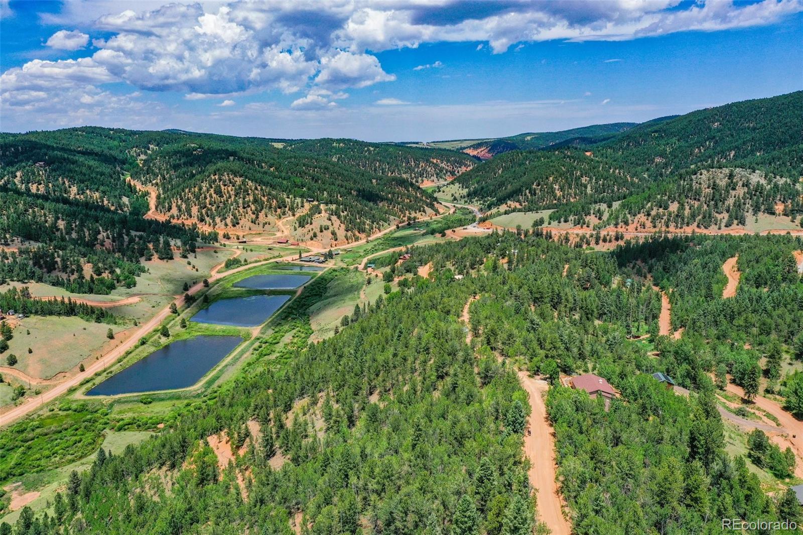 677 Timber Ridge Road Divide, CO 80814 - Photo 4 of 29 Gallery Image 4