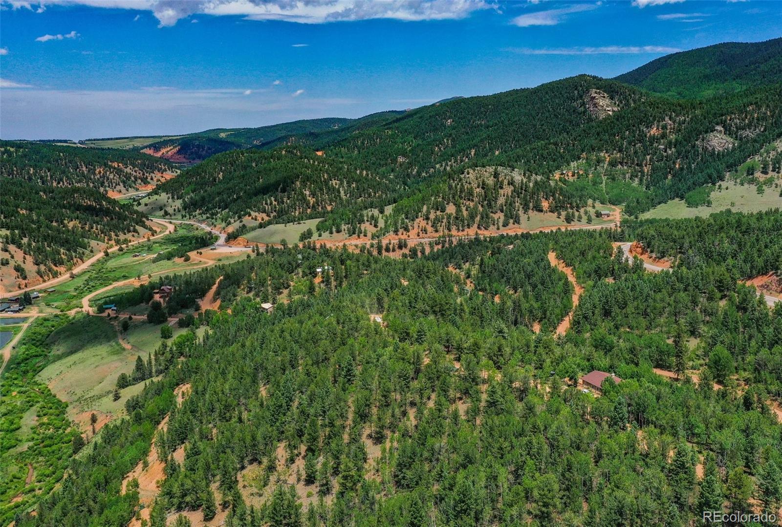 677 Timber Ridge Road Divide, CO 80814 - Photo 5 of 29 Gallery Image 5