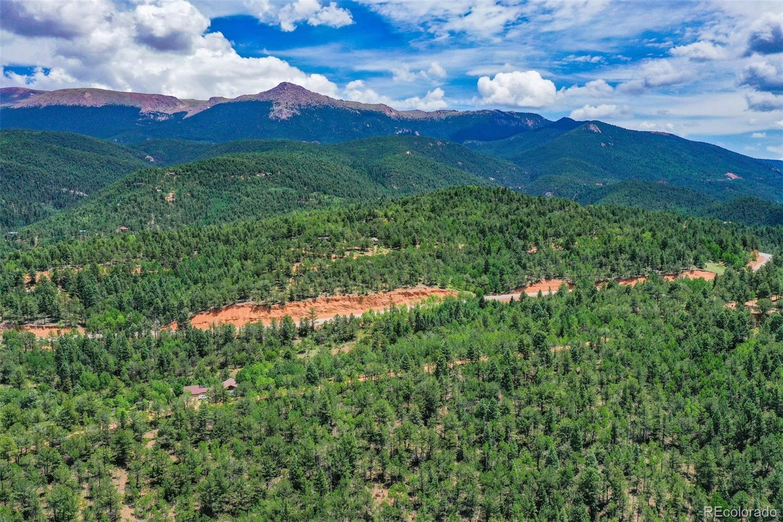 677 Timber Ridge Road Divide, CO 80814 - Photo 7 of 29 Gallery Image 7
