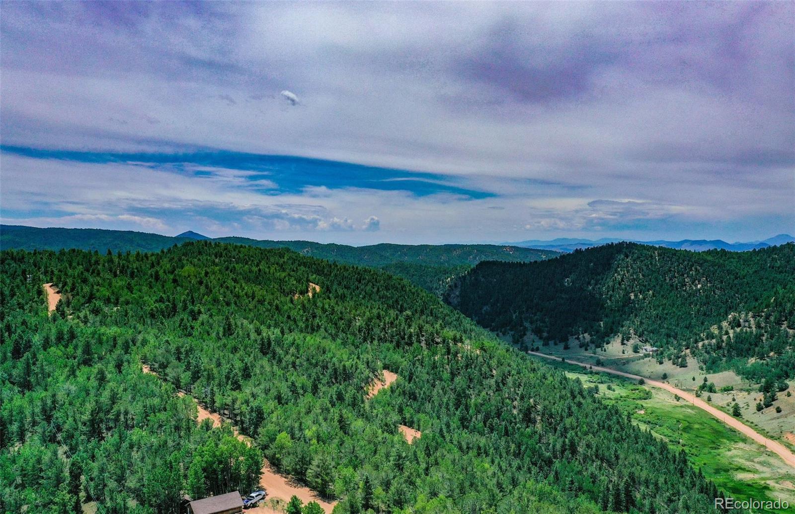 677 Timber Ridge Road Divide, CO 80814 - Photo 9 of 29 Gallery Image 9