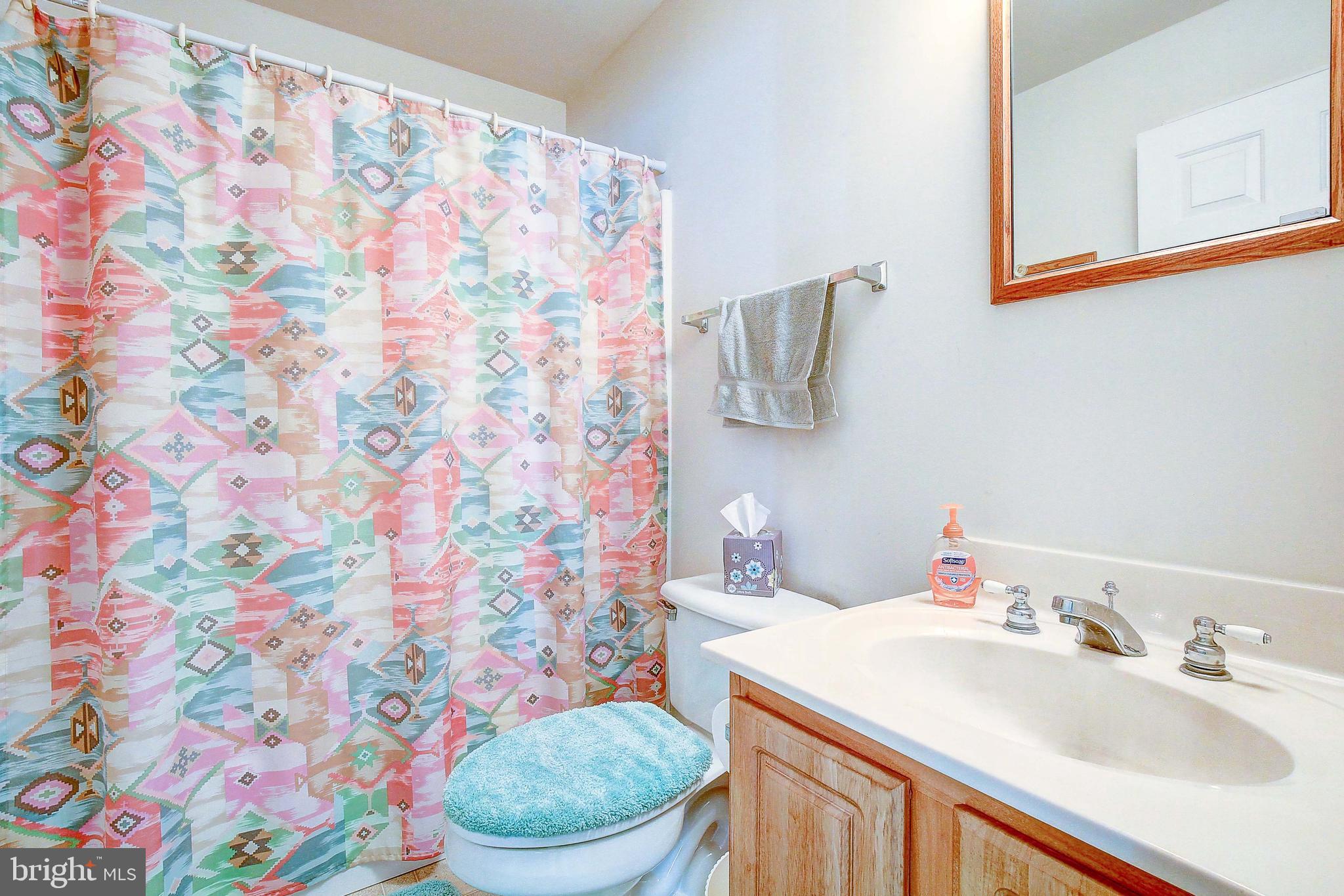 4650 Paul Hance Road Huntingtown, MD 20639 - Photo 19 of 57 a bathroom with a sink toilet and a mirror