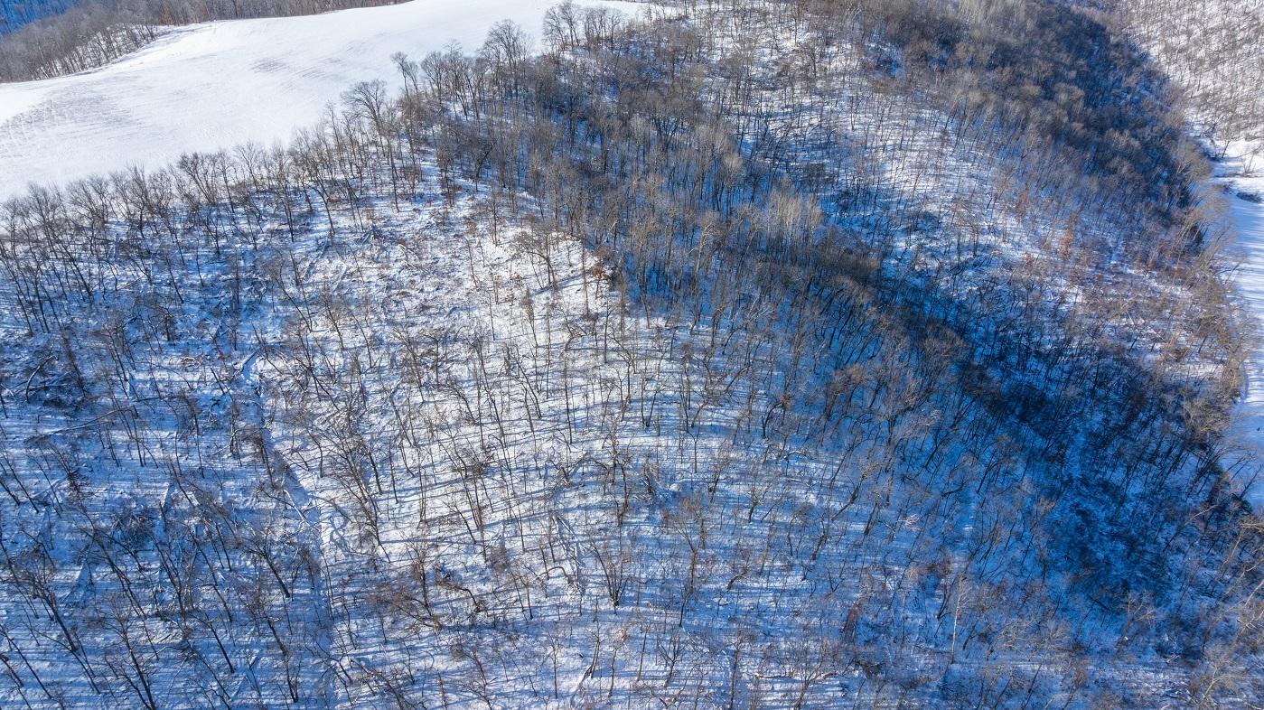 0 Yaeger Valley Road Cochrane, WI 54622 - Photo 60 of 80