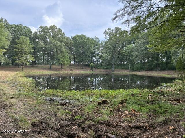 0 McBride Cemetery Road Sardis, TN 38371 - Photo 50 of 54 Pond Cleared
