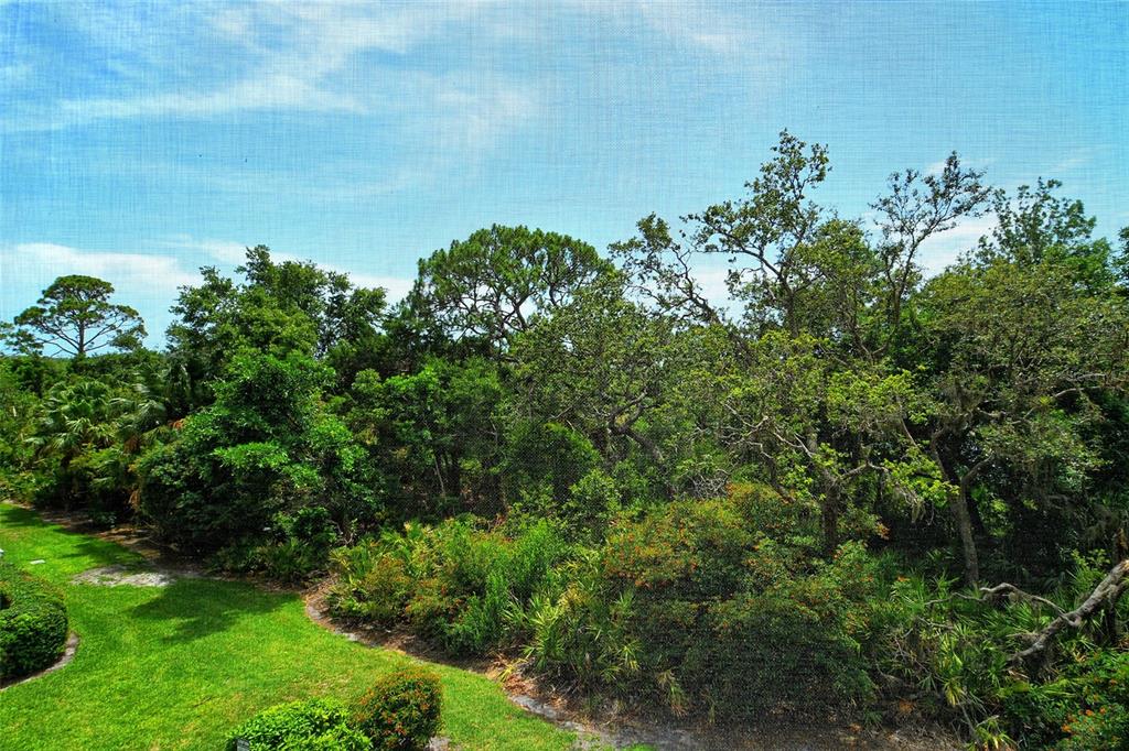 401 North Point Road, Unit 304 Osprey, FL 34229 - Photo 21 of 95