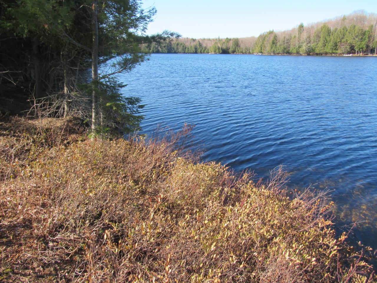 Along Hewitt Road, Unit LOT 1 Mercer, WI 54547 - Photo 16 of 32 Gallery Image 16