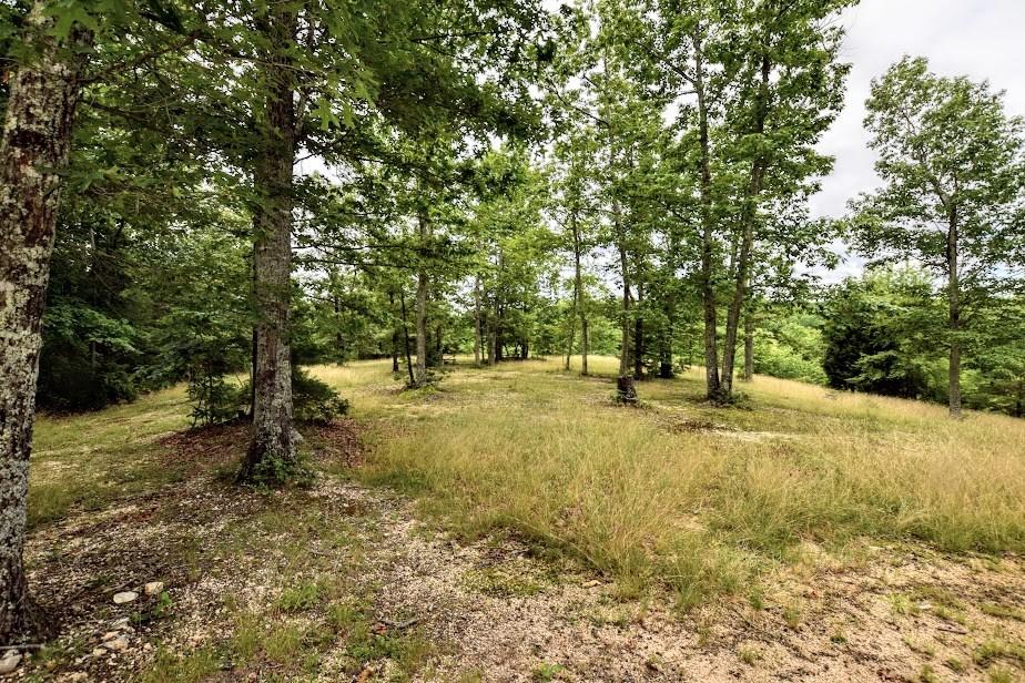 122 Ewing Cemetery Road Spring City, TN 37381 - Photo 35 of 44 35