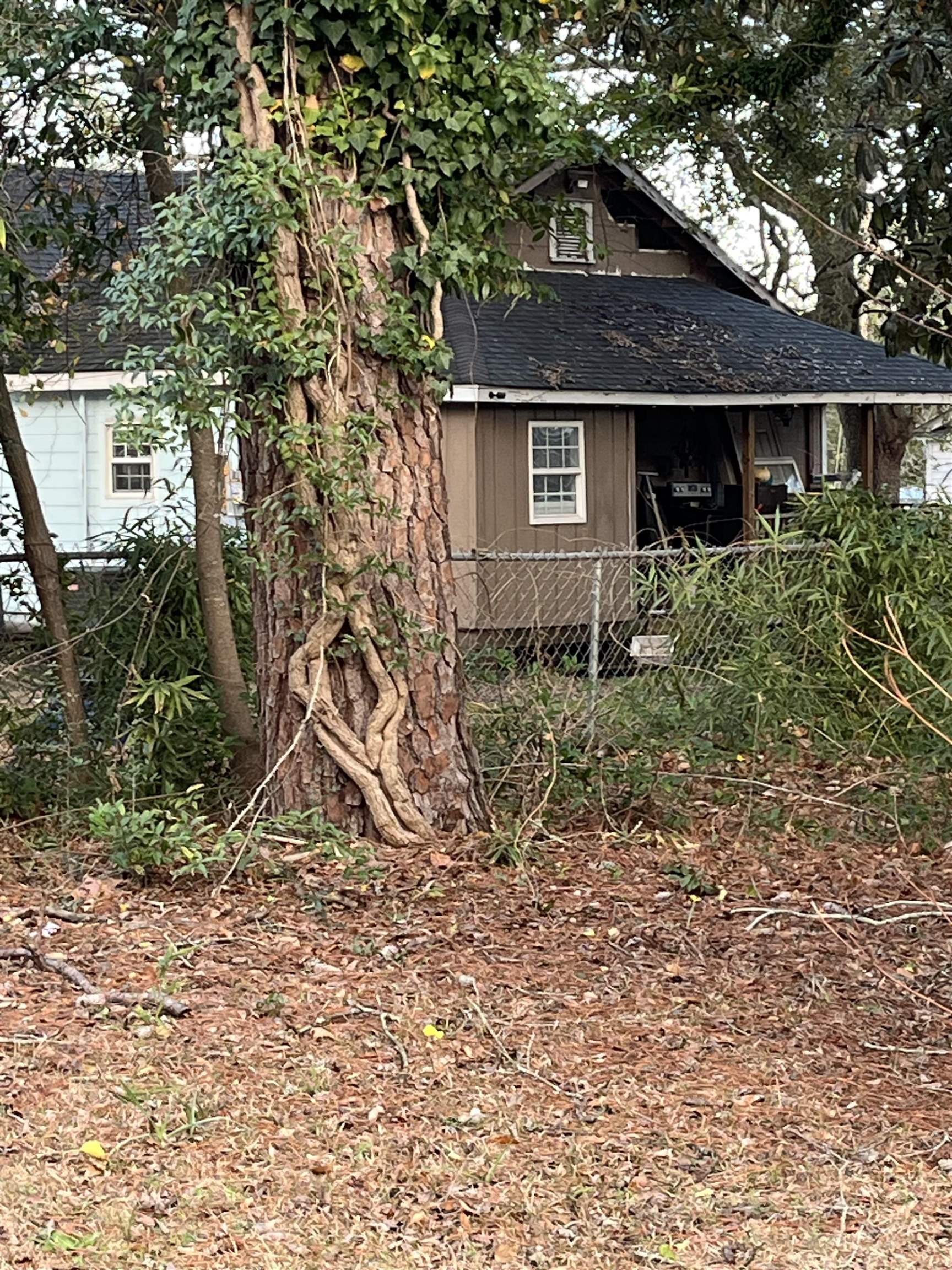 415 Live Oak Street Conway, SC 29527 - Photo 21 of 24