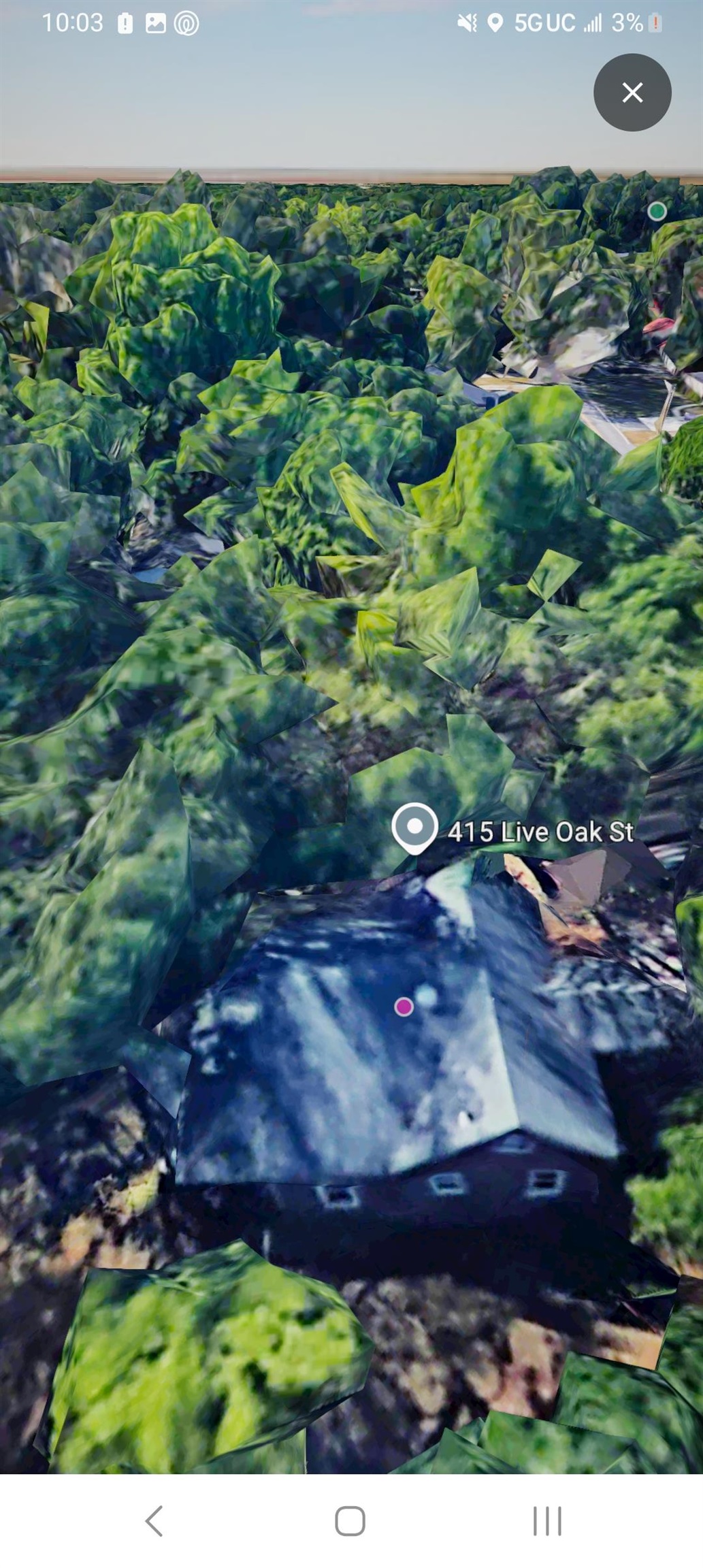 415 Live Oak Street Conway, SC 29527 - Photo 10 of 24