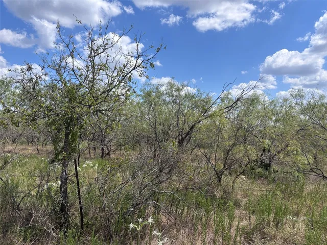 a view of a tree in a yard