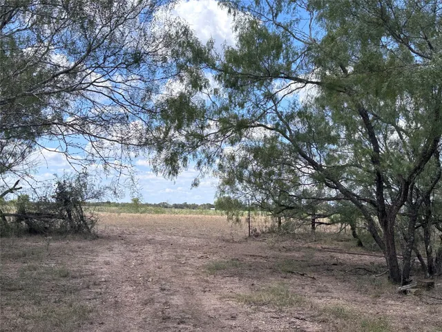 a view of dirt yard with a tree