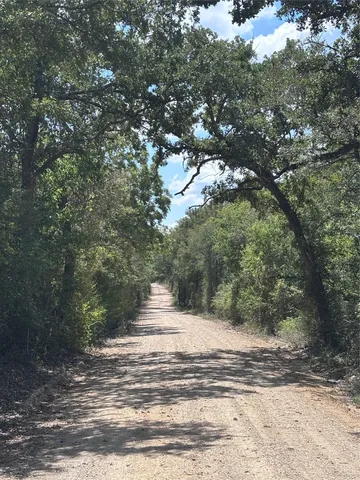 a view of a yard with a tree