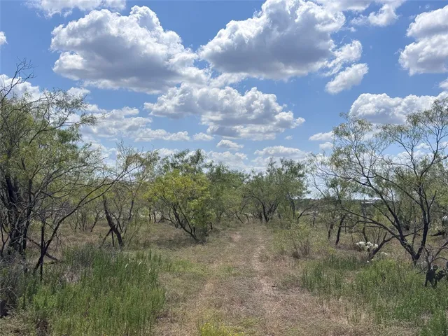 a view of a city with lots of trees