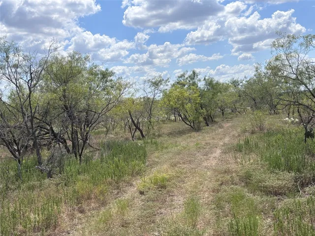 a view of a yard with trees in the background
