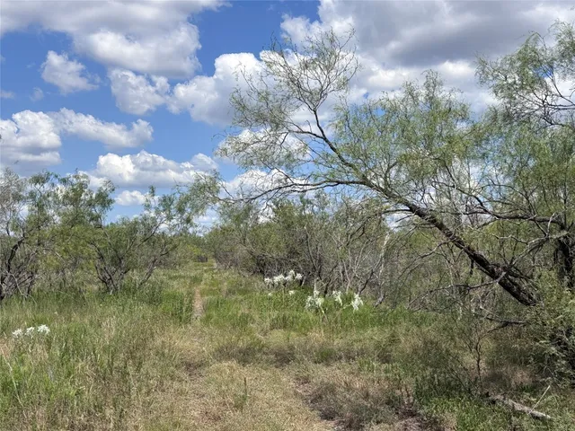 a view of a lake with a yard