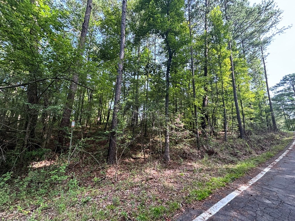 Lot 50 Burtom Road Eatonton, GA 31024 - Photo 14 of 17 Gallery Image 14