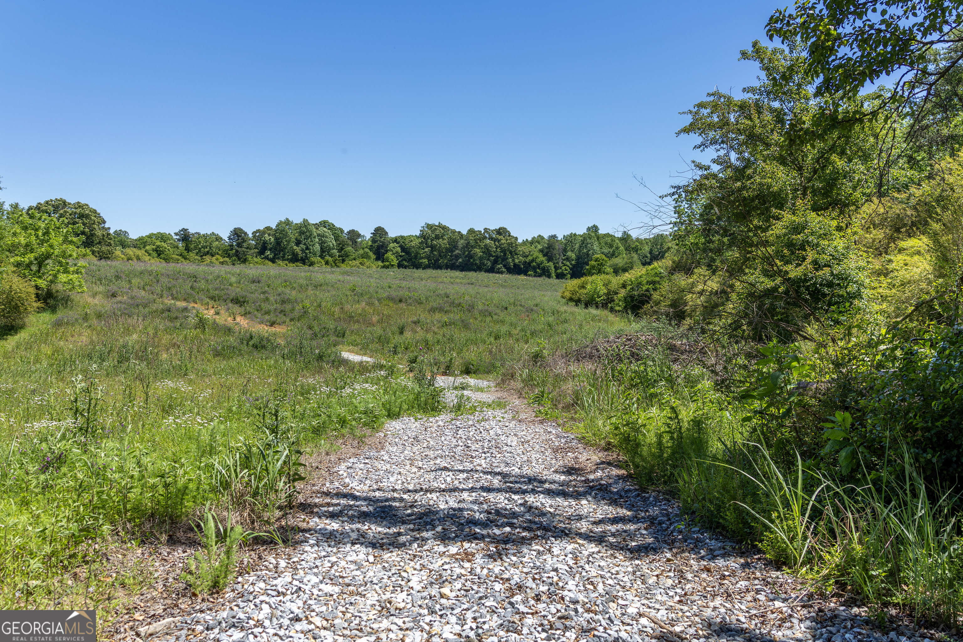 3600 Pea Ridge Road Cornelia, GA 30531 - Photo 4 of 11 a view of a pathway both side of grassy field with shrub