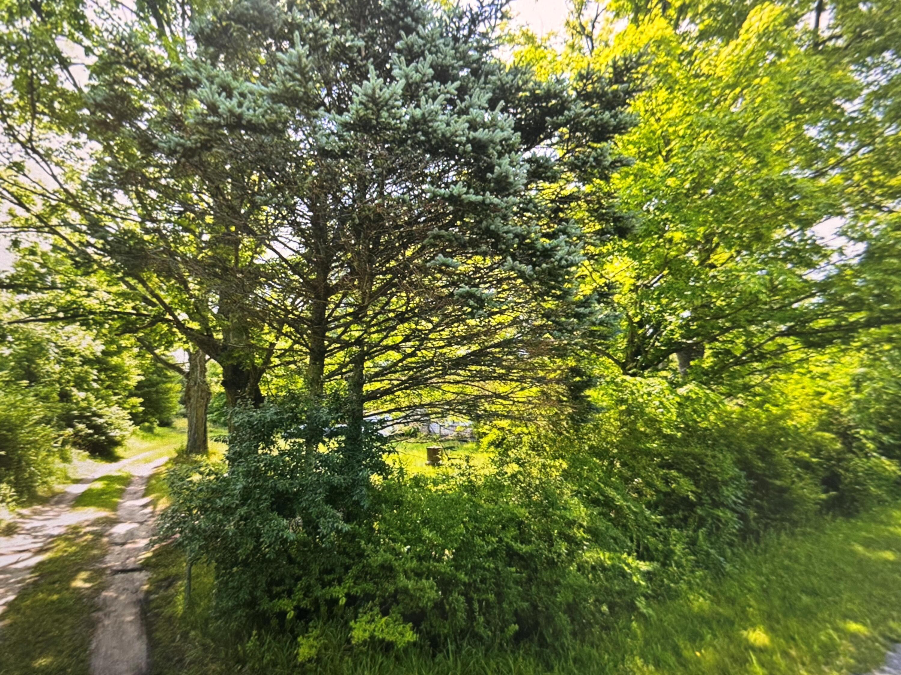 42439 78th Street Covert, MI 49043 - Photo 1 of 27 Street View