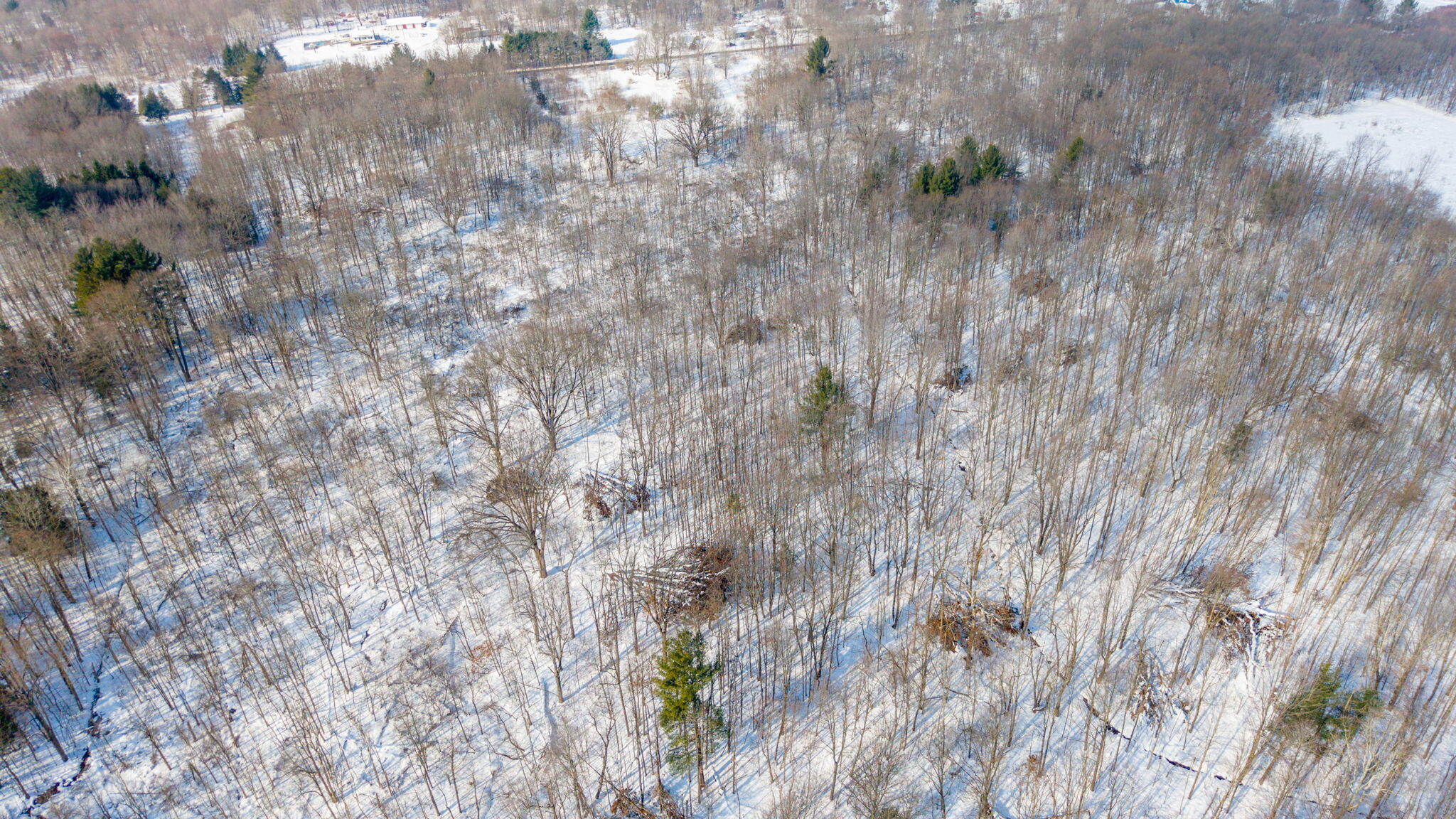 42439 78th Street Covert, MI 49043 - Photo 16 of 27 13-web-or-mls-42439-78th-st