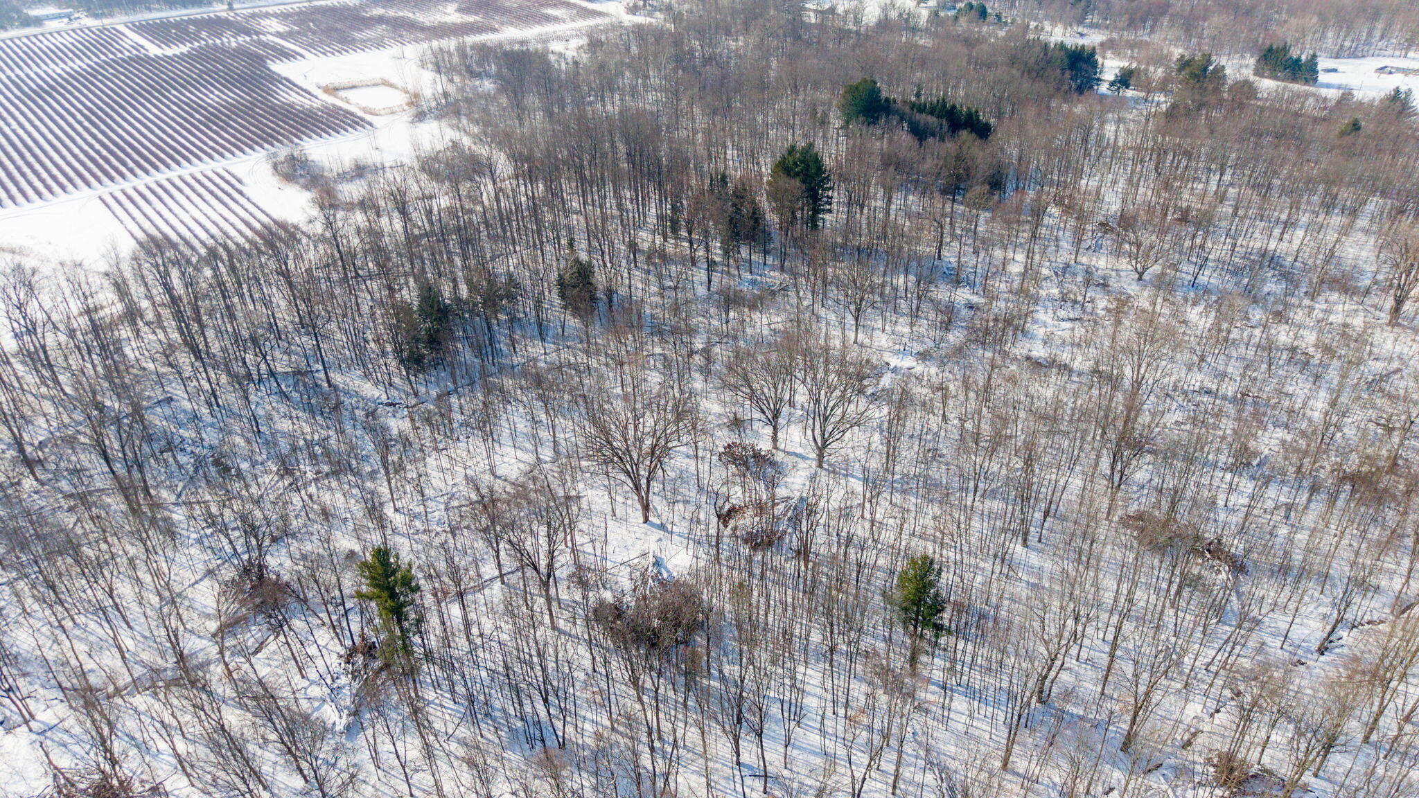 42439 78th Street Covert, MI 49043 - Photo 17 of 27 14-web-or-mls-42439-78th-st