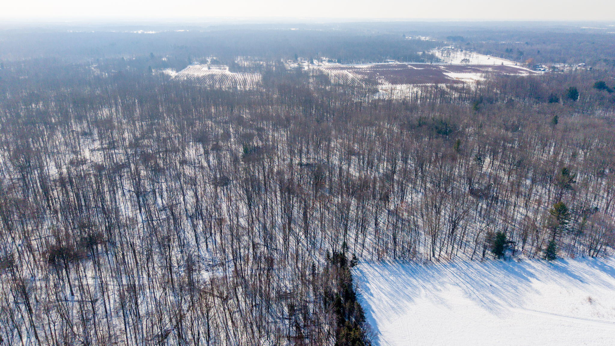 42439 78th Street Covert, MI 49043 - Photo 22 of 27 19-web-or-mls-42439-78th-st