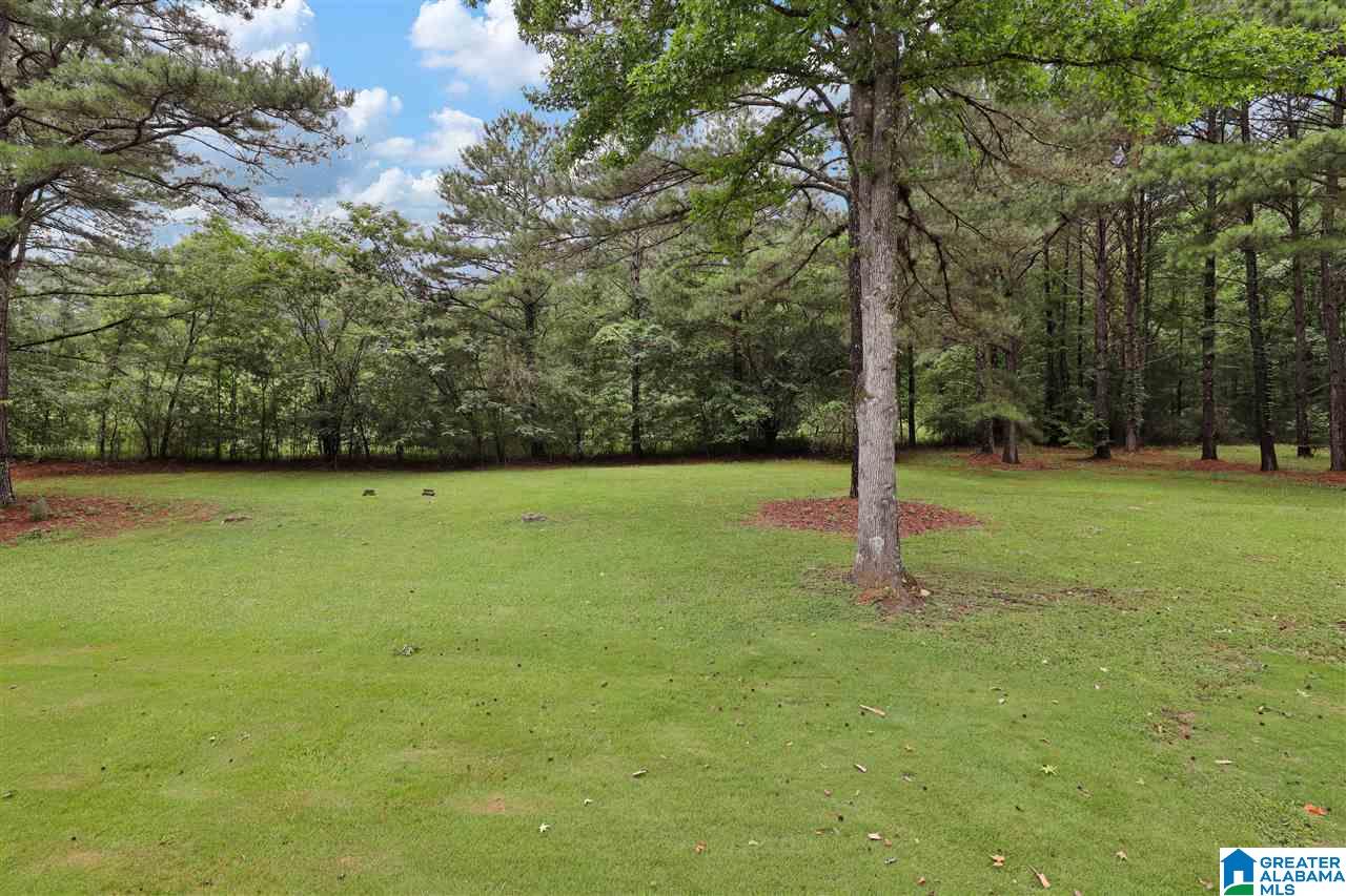 7040 Deer Haven Road Pinson, AL 35126 - Photo 24 of 29