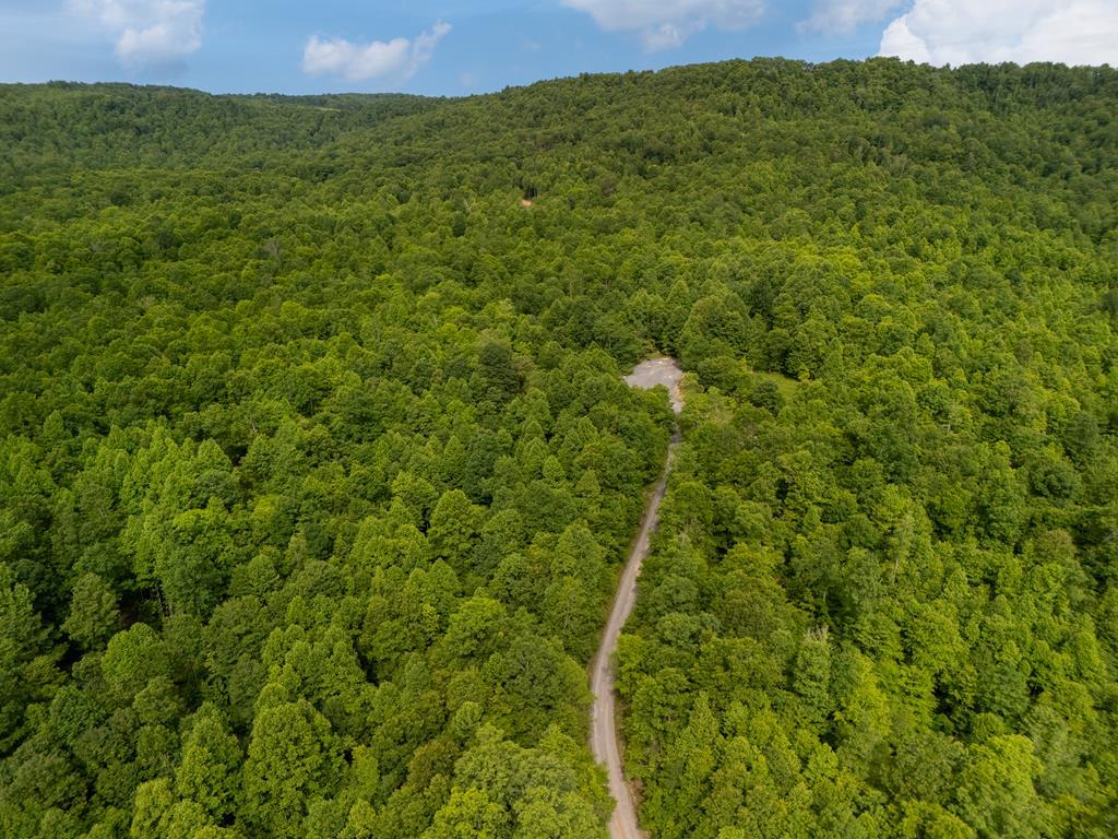 125 Eagle's Nest Ridge Shady Spring, WV 25918 - Photo 6 of 16 Gallery Image 6