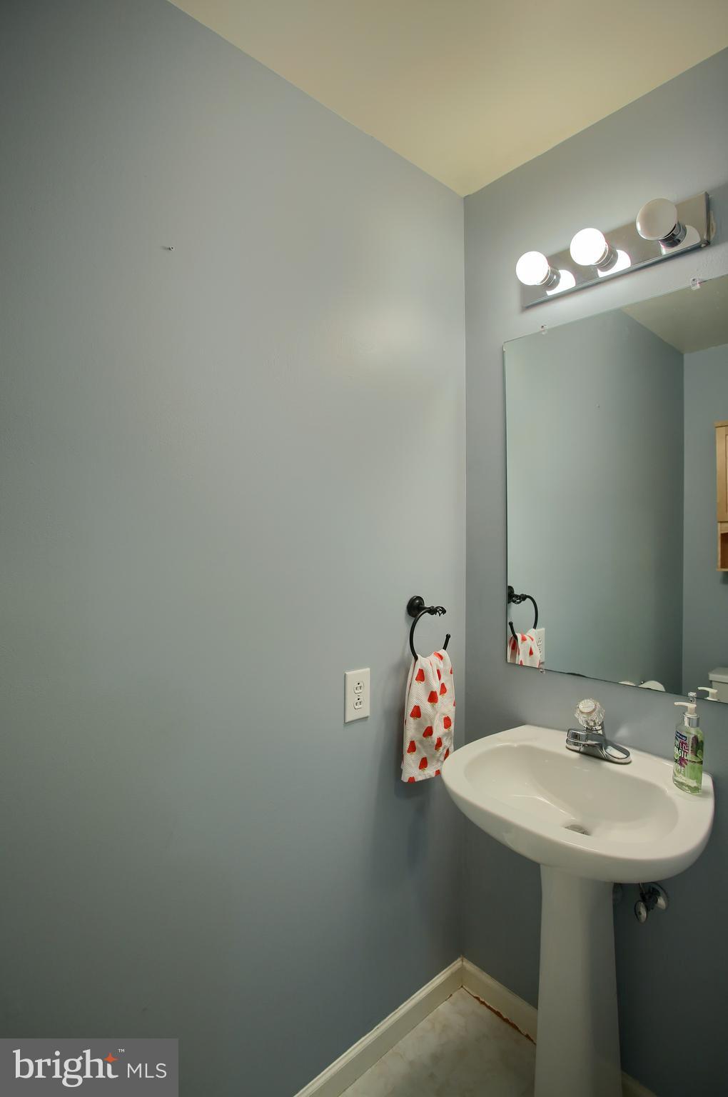 228 Bainbridge Circle Sinking Spring, PA 19608 - Photo 12 of 27 Powder Room