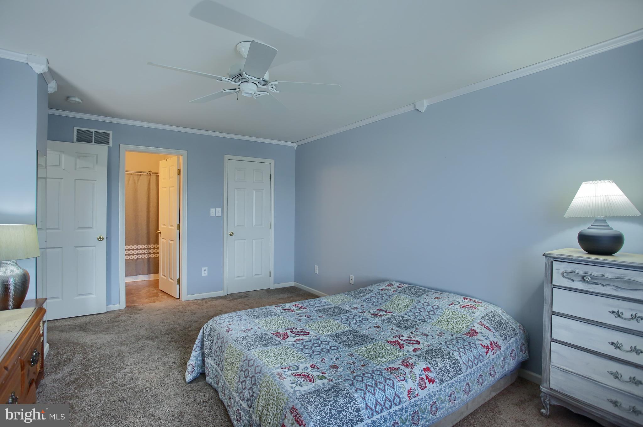 228 Bainbridge Circle Sinking Spring, PA 19608 - Photo 14 of 27 Master Bedroom