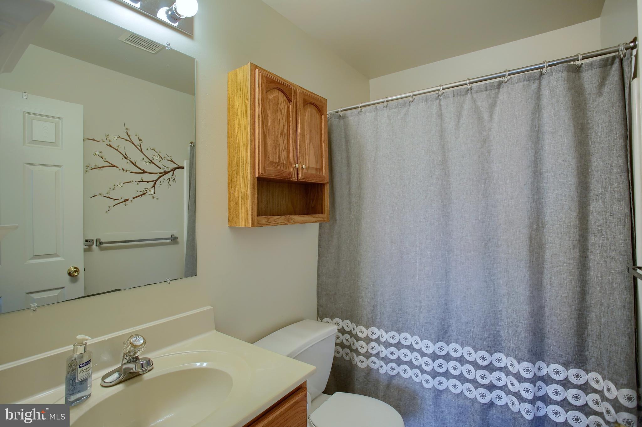 228 Bainbridge Circle Sinking Spring, PA 19608 - Photo 16 of 27 Masterbath