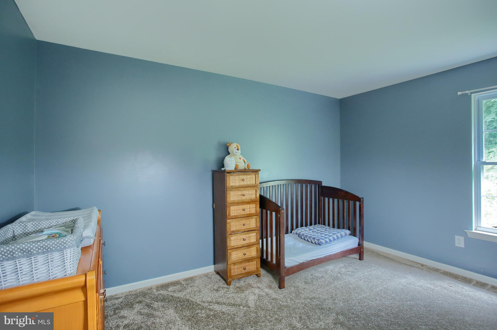 228 Bainbridge Circle Sinking Spring, PA 19608 - Photo 20 of 27 Bedroom 3