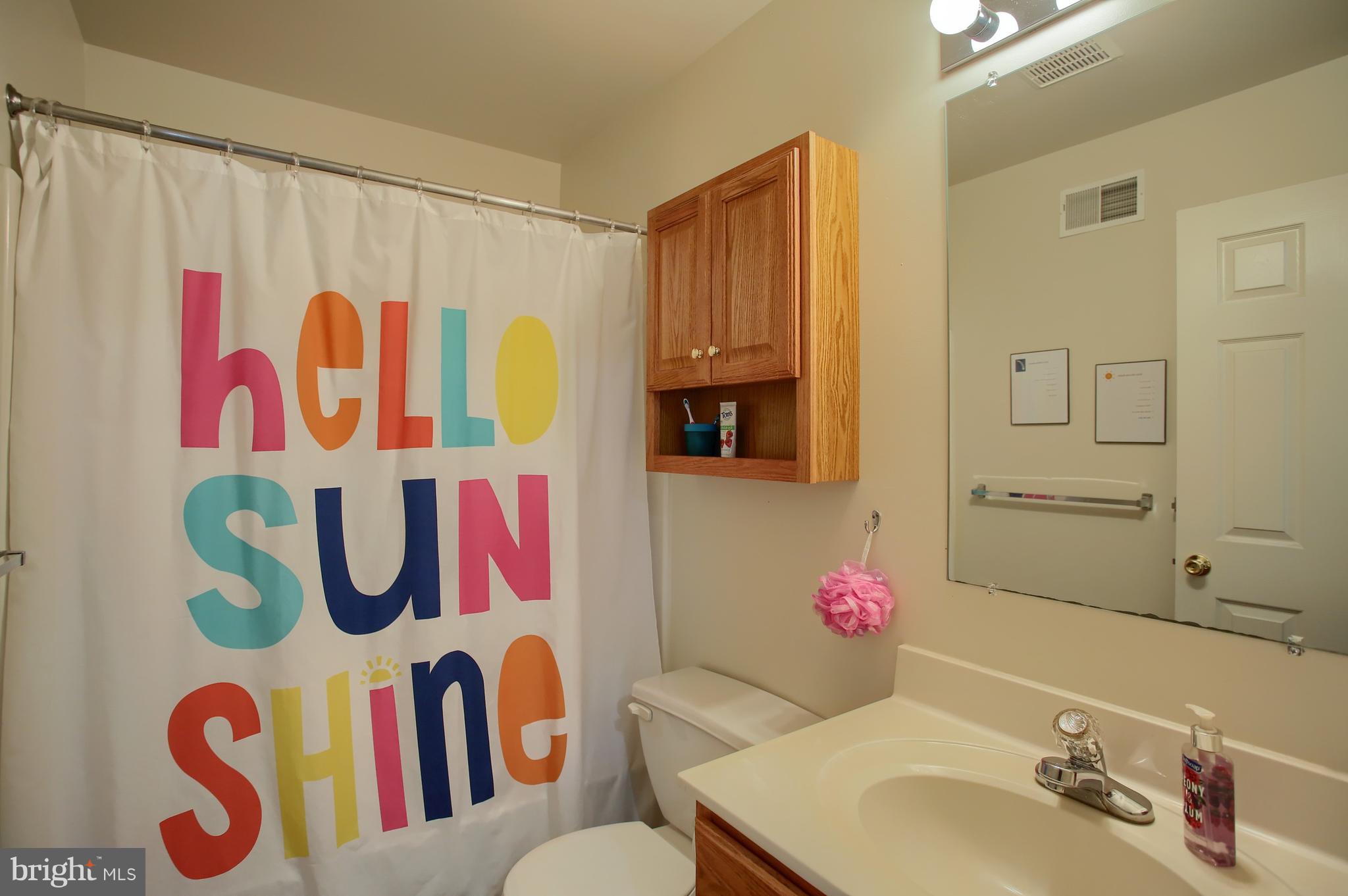 228 Bainbridge Circle Sinking Spring, PA 19608 - Photo 21 of 27 Bathroom #2